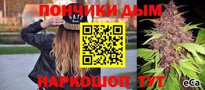 МДПВ Пугачёв