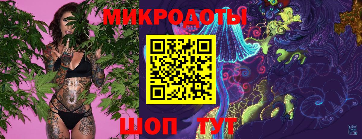 Псилоцибиновые грибы Psilocybe Похвистнево